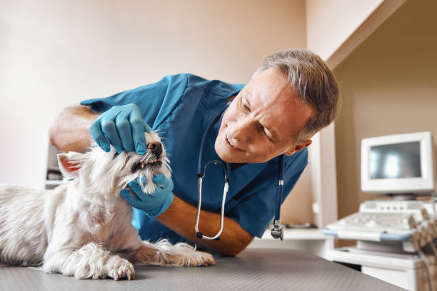 Best Emergency Treatment for Toothache in Chickasha, OK